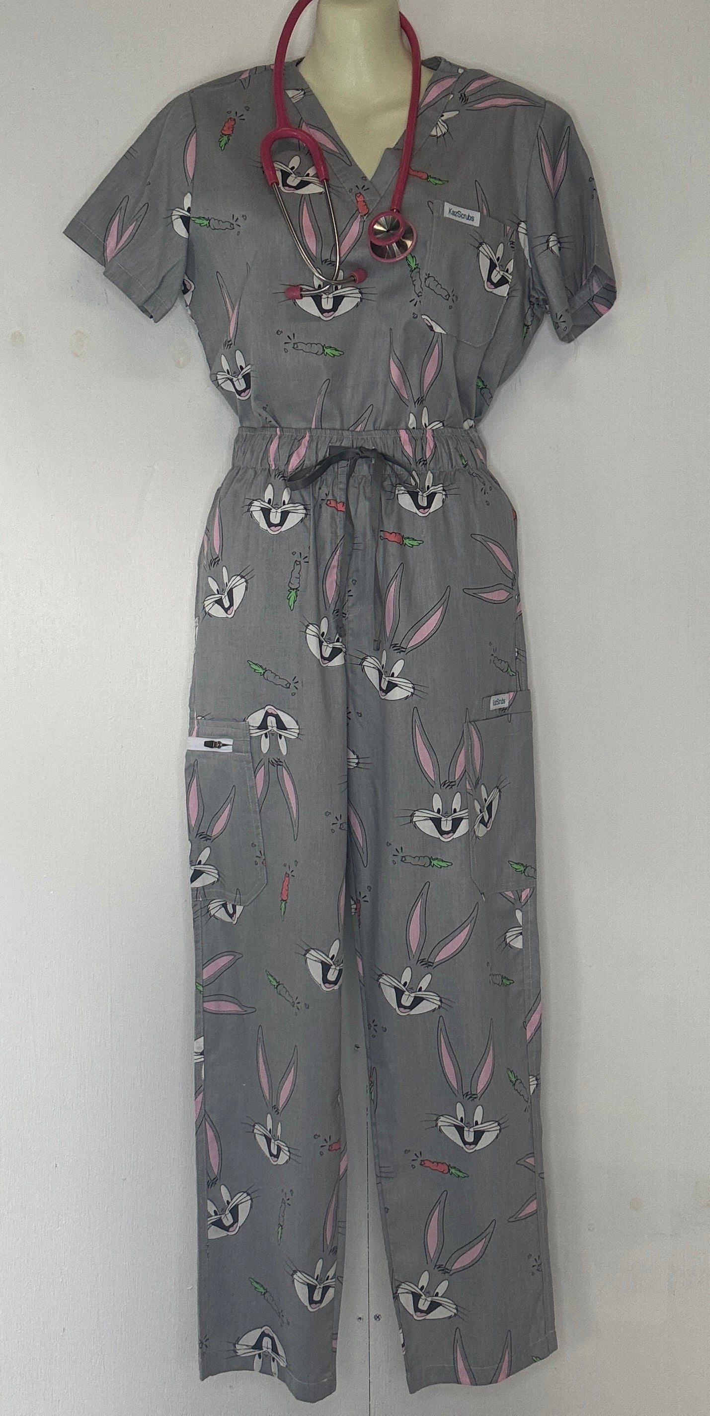 Bugs scrub set
