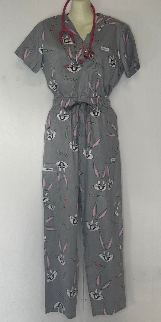 Bugs scrub set
